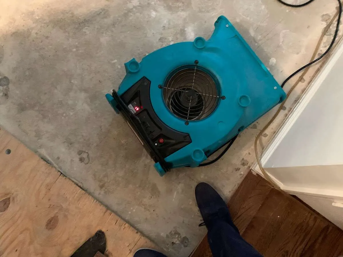Air mover drying subfloor during Leak Detection & Repair in Sebring